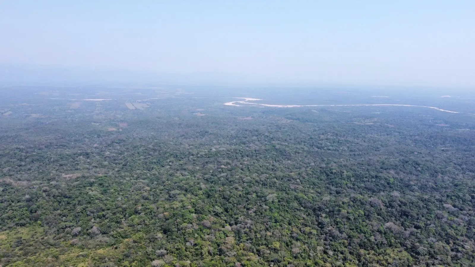 Foto 1 de Propiedad de 33.25 hectáreas a 7 km del pueblo de Buena Vista
