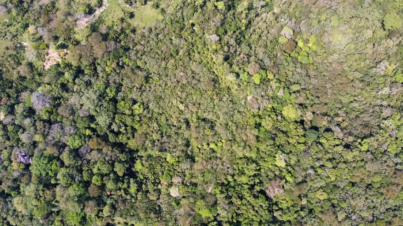 Foto 4 de Propiedad de 33.25 hectáreas a 7 km del pueblo de Buena Vista
