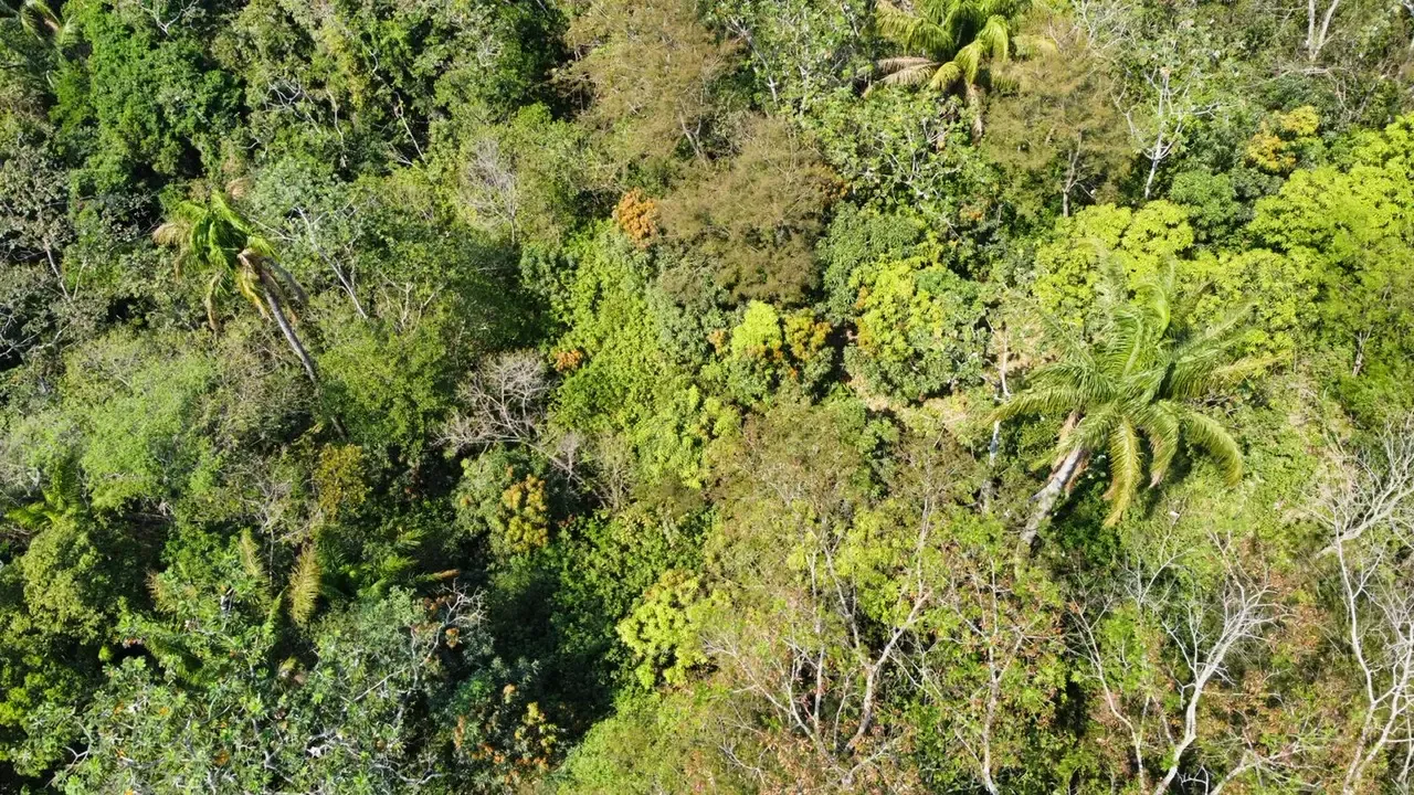 Foto 2 de Propiedad de 33.25 hectáreas a 7 km del pueblo de Buena Vista