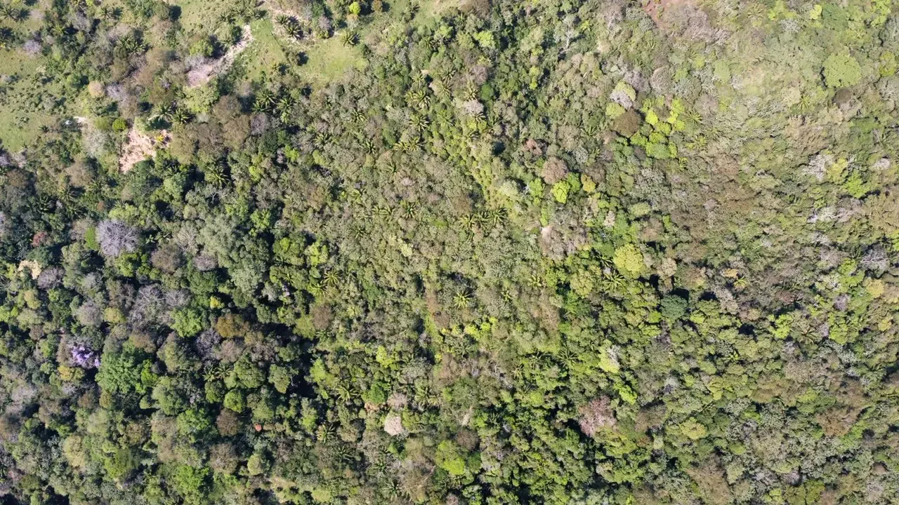 Foto 5 de Propiedad de 33.25 hectáreas a 7 km del pueblo de Buena Vista