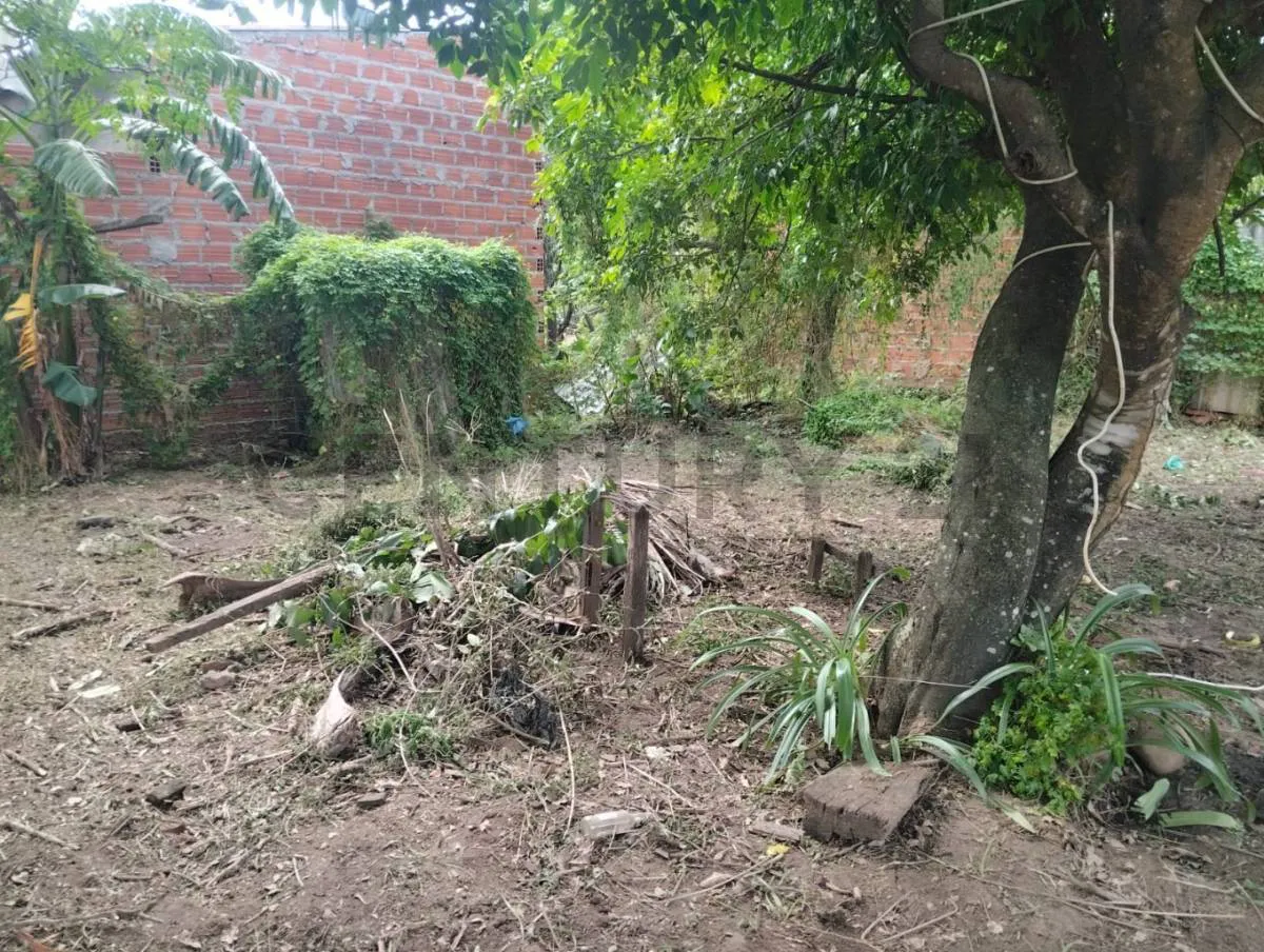 Foto 3 de Terreno/ Lote en Venta Sobre La Circunvalacion en Montero