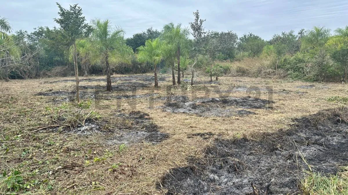 Foto 2 de Terrenos en Venta – Excelente Oportunidad