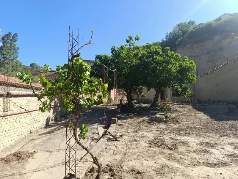 Foto 7 de Casa como Lote en Venta de 993 m² – Germán Busch, sobre Av. Los Sauces