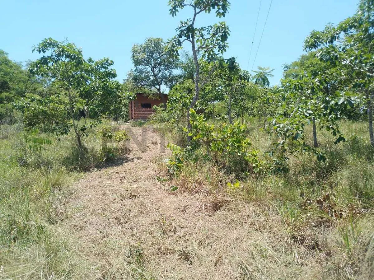 Foto 2 de Propiedad Multifuncional con Gran Potencial Productivo e Inversión