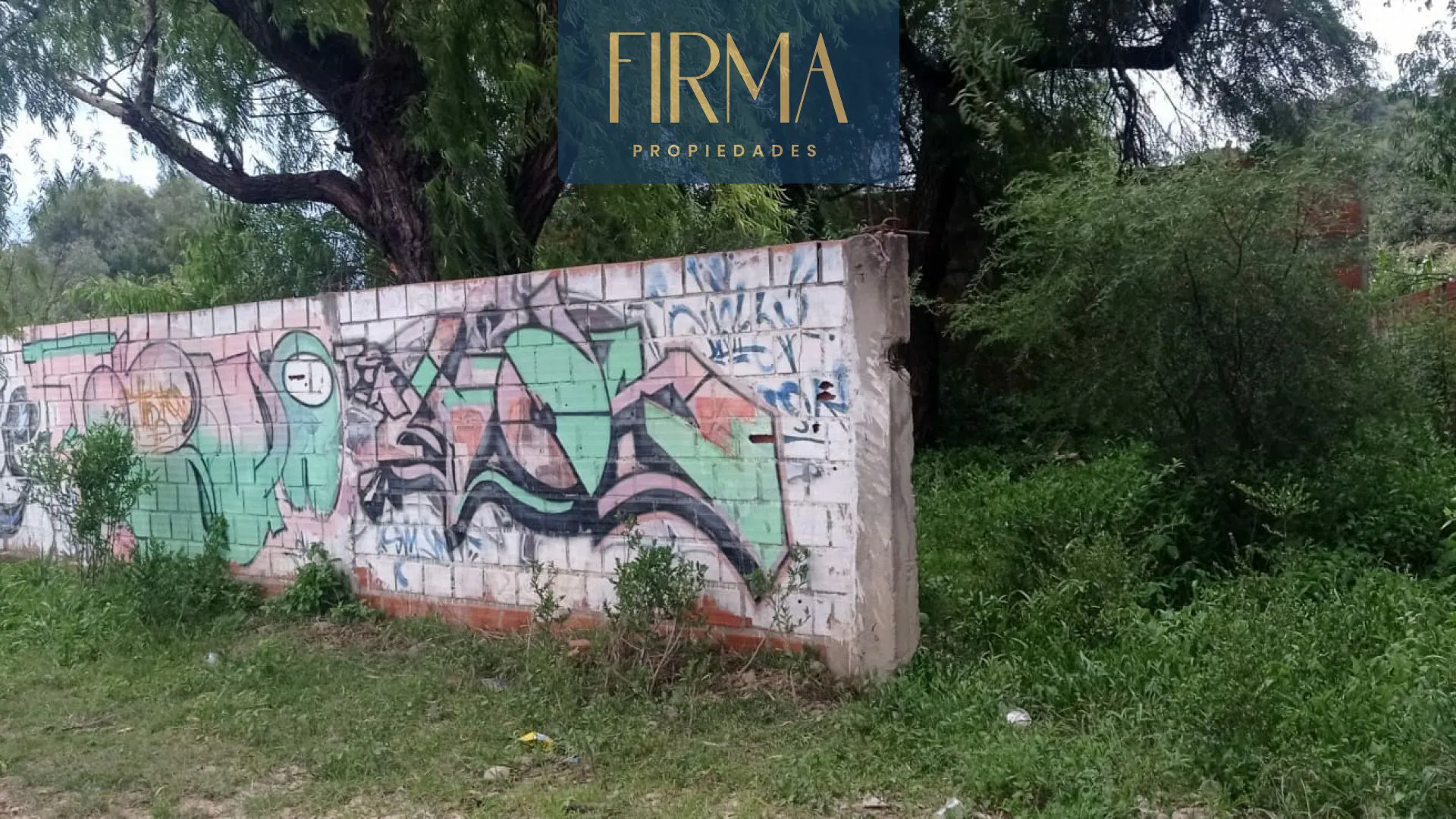 Foto 3 de Compra Este Terreno en Tomatitas Tarija