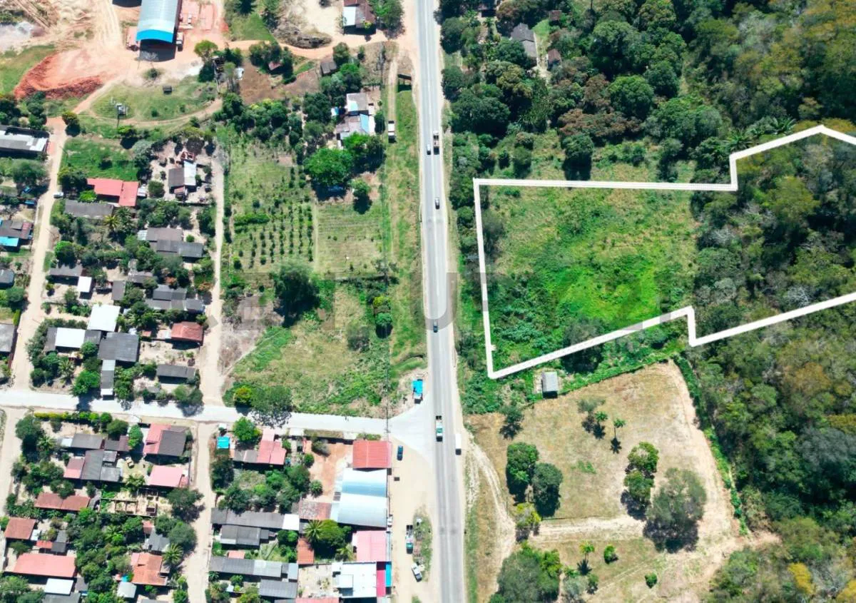 Foto 4 de Sobre Carretera Terreno en Venta – Limoncito | Km 37