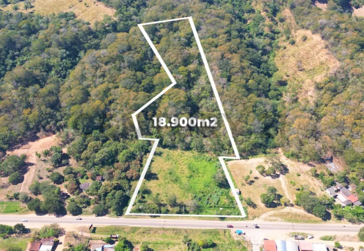 Foto 1 de Sobre Carretera Terreno en Venta – Limoncito | Km 37