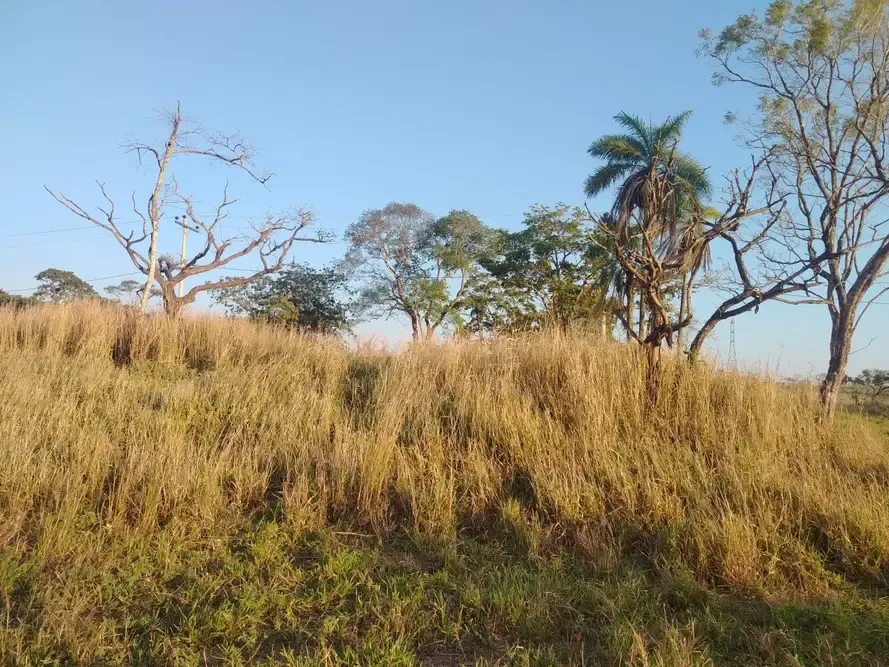 Foto 6 de Terreno en Venta - Complejo Campestre Paraiso del Norte