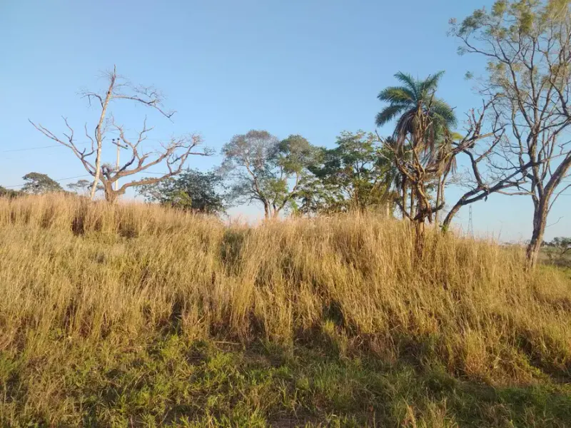 Foto 6 de Terreno en Venta - Complejo Campestre Paraiso del Norte