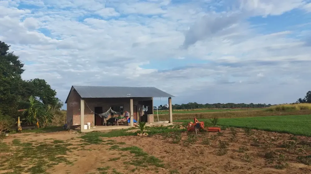 Foto 3 de Propiedad Agrícola Productiva de 86 Hectáreas en Venta – San Juan, Ichilo