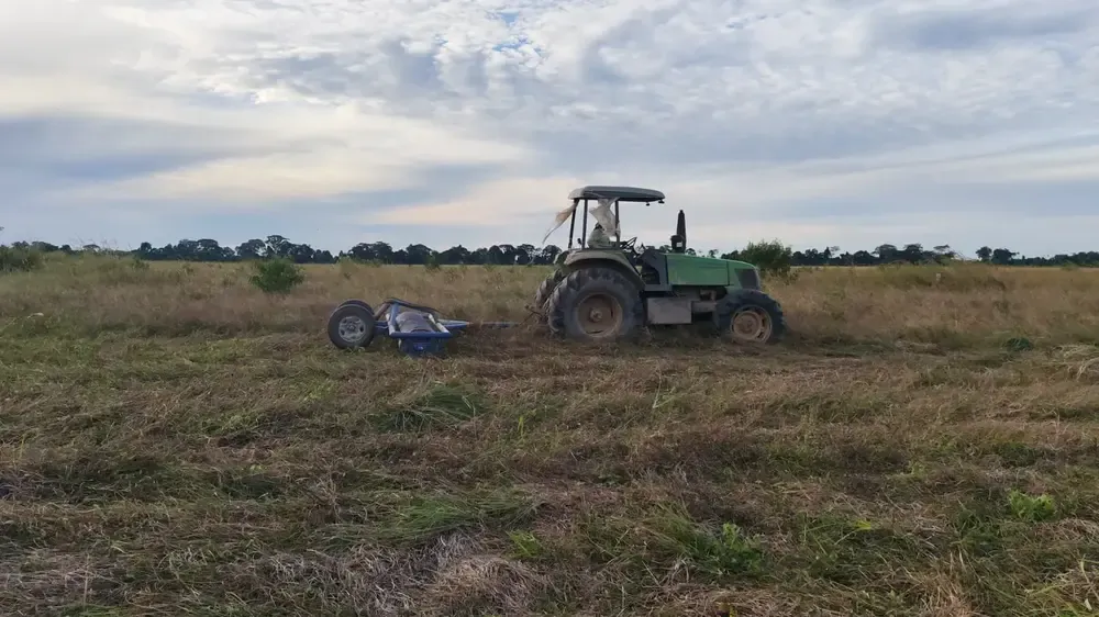 Foto 6 de Propiedad Agrícola Productiva de 86 Hectáreas en Venta – San Juan, Ichilo