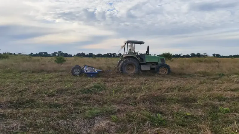 Foto 6 de Propiedad Agrícola Productiva de 86 Hectáreas en Venta – San Juan, Ichilo