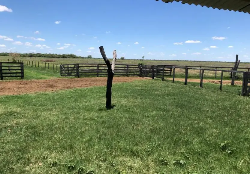 Foto 2 de En Venta 1.396 Hectáreas Agrícolas y Ganaderas sobre Carretera