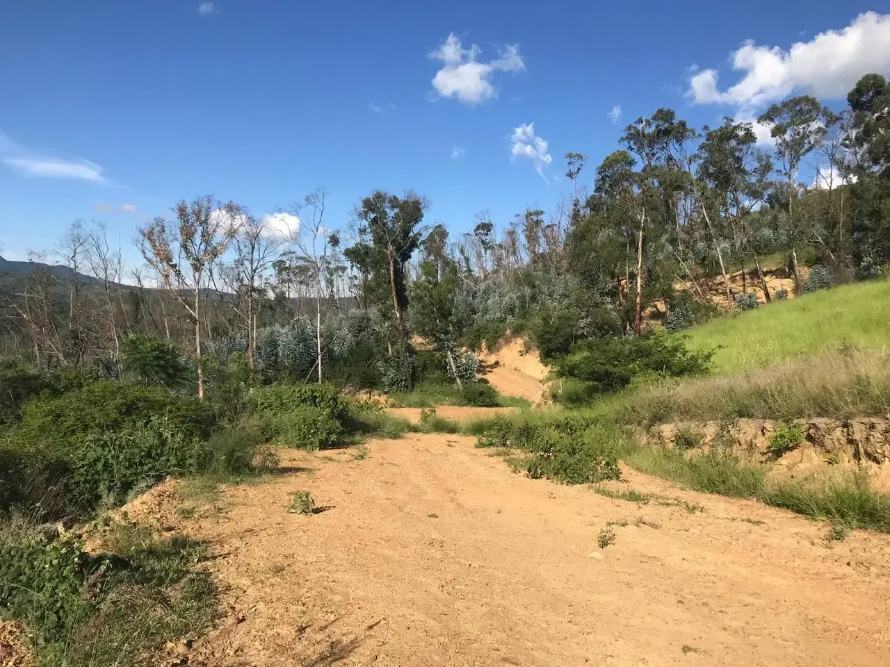 Foto 5 de Terreno en venta en Samaipata