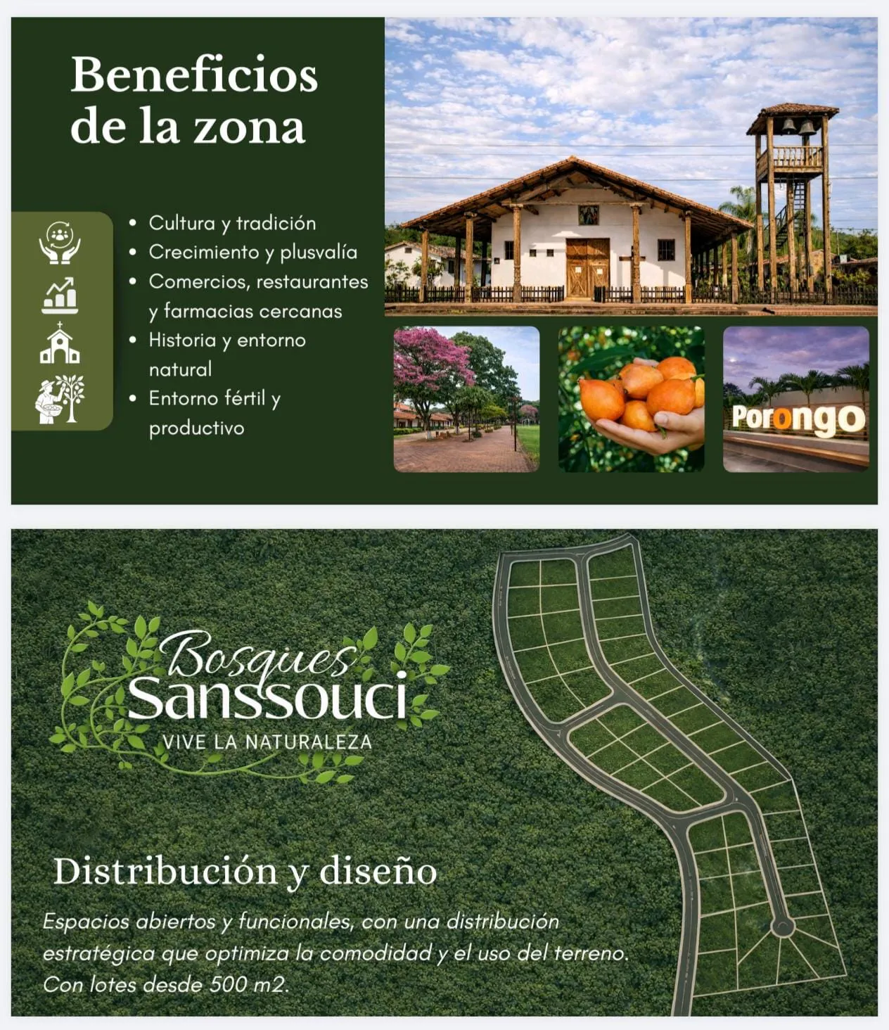 Foto 3 de *Bosques Sanssouci*