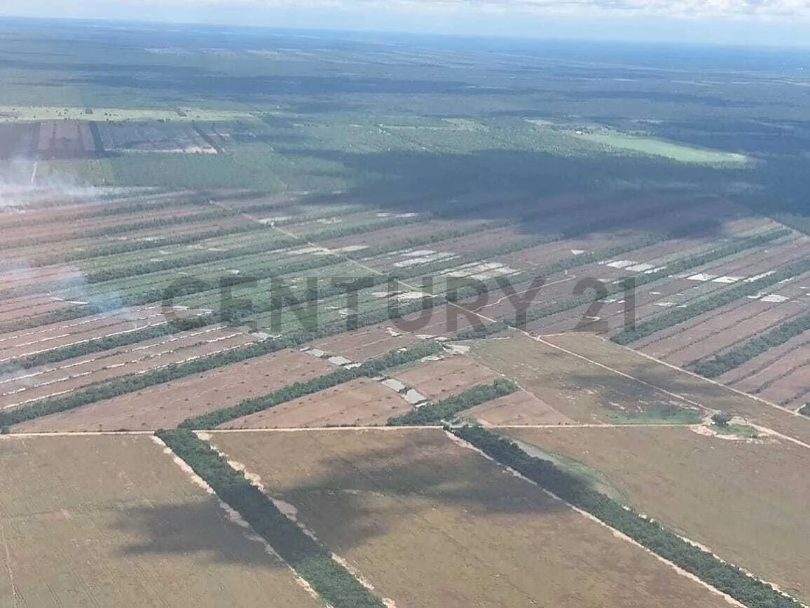 Foto 5 de Propiedad Agricola Ganadera en zona Este a 199 km de SCZ
