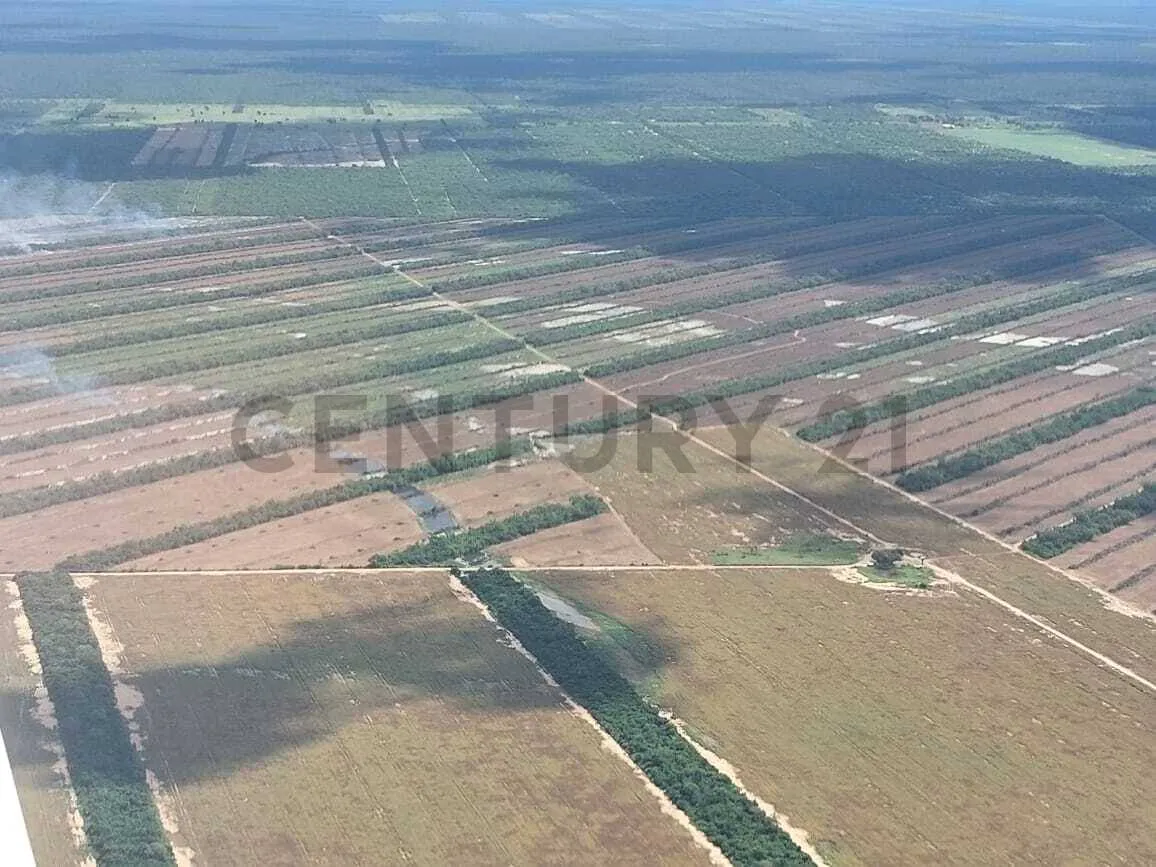Foto 4 de Propiedad Agricola Ganadera en zona Este a 199 km de SCZ
