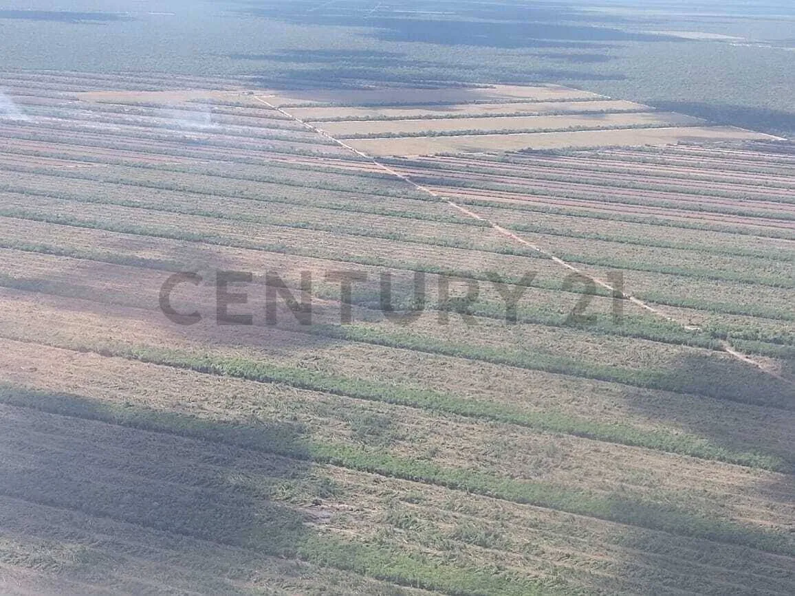 Foto 1 de Propiedad Agricola Ganadera en zona Este a 199 km de SCZ