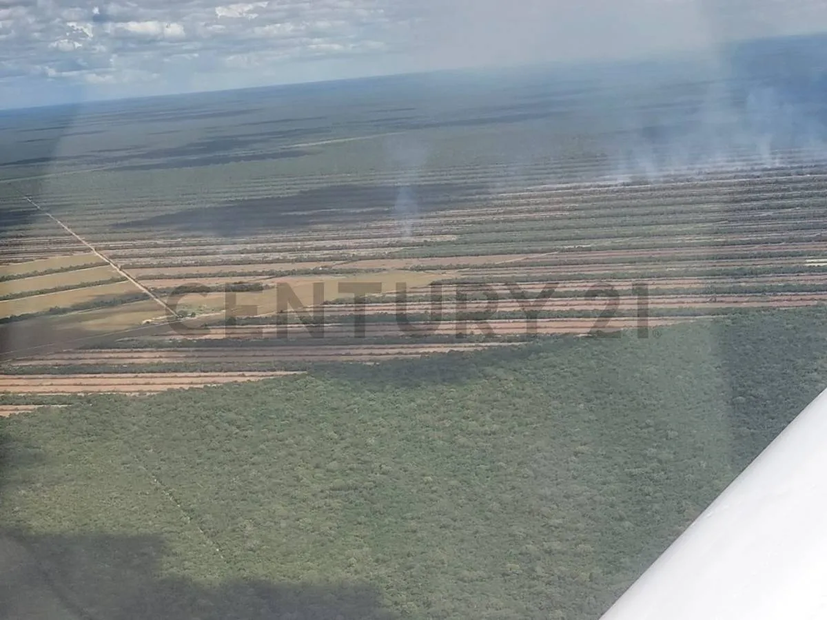 Foto 3 de Propiedad Agricola Ganadera en zona Este a 199 km de SCZ