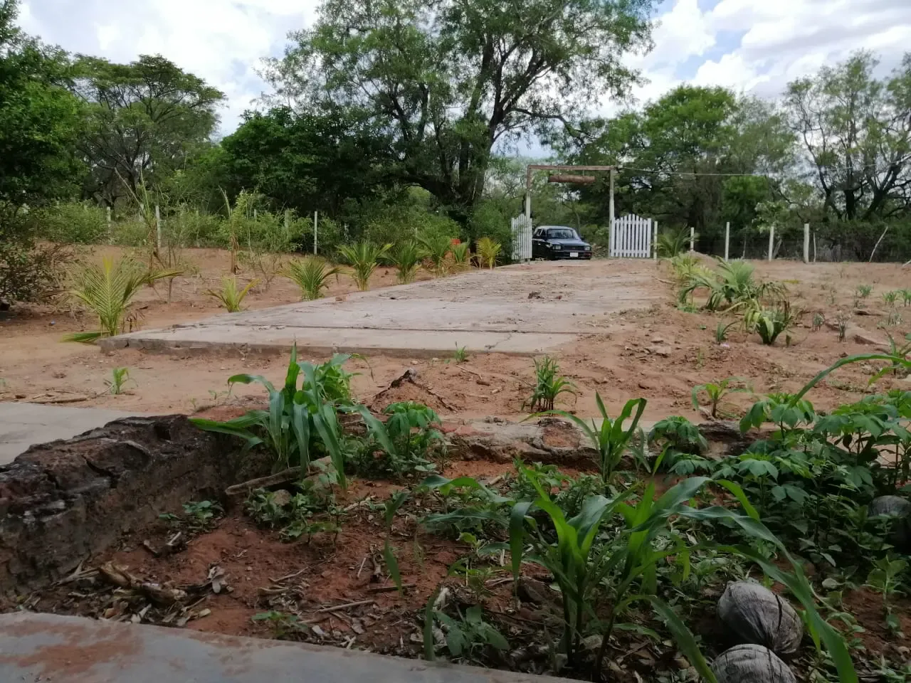 Foto 3 de En Venta Quinta en Chochis – Roboré