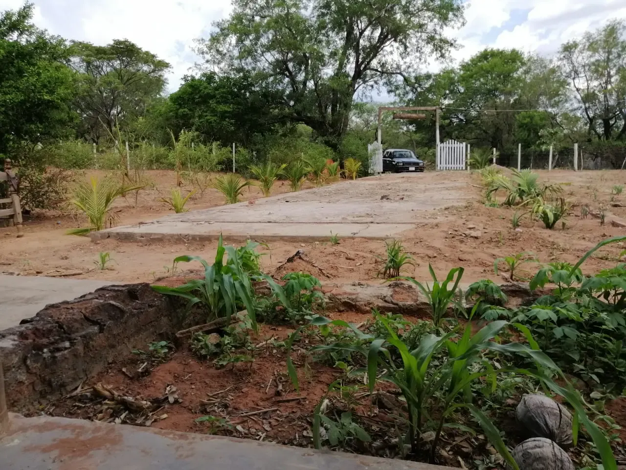 Foto 4 de En Venta Quinta en Chochis – Roboré