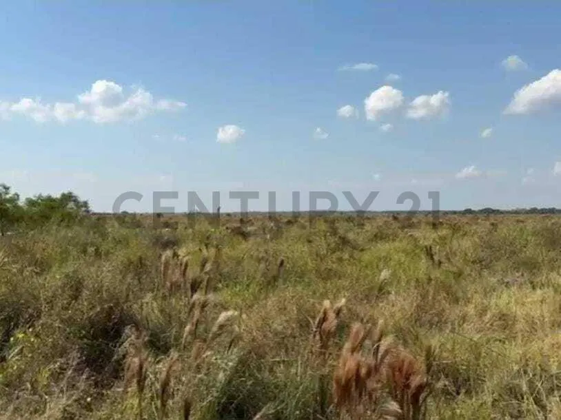 Foto 7 de Propiedad Rural Ideal para Proyectos de Inversión!!