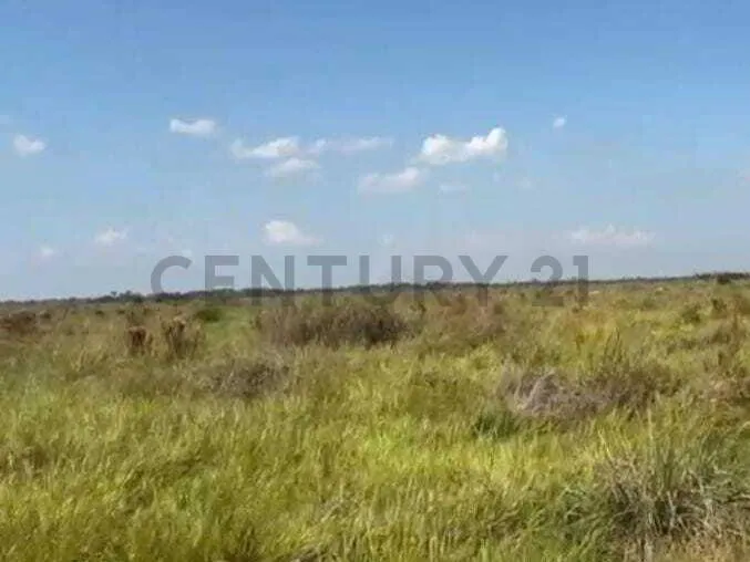 Foto 13 de Propiedad Rural Ideal para Proyectos de Inversión!!