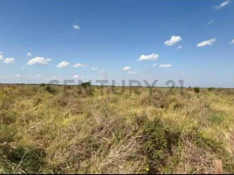 Foto 3 de Propiedad Rural Ideal para Proyectos de Inversión!!