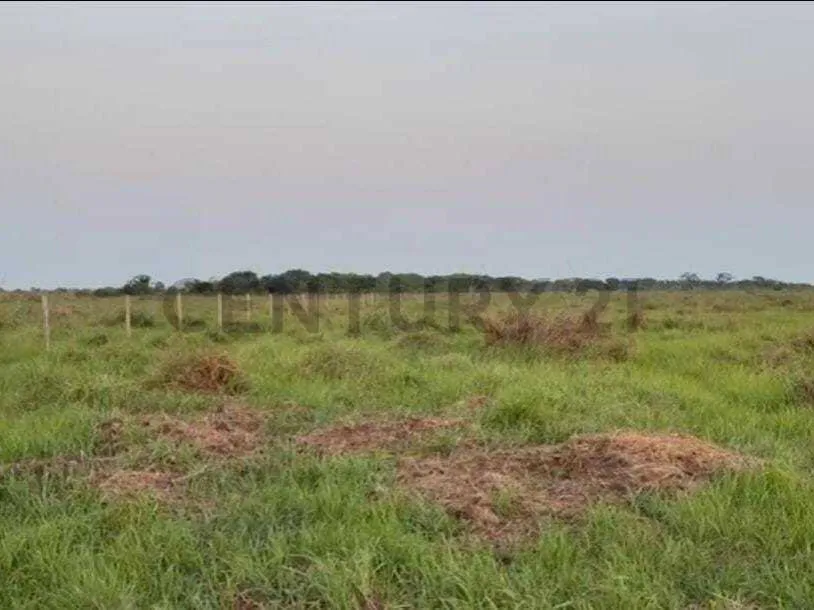 Foto 12 de Propiedad Rural Ideal para Proyectos de Inversión!!