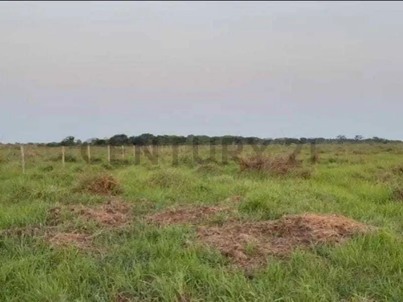 Foto 12 de Propiedad Rural Ideal para Proyectos de Inversión!!