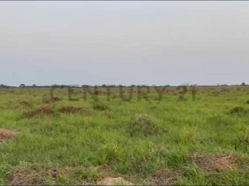 Foto 11 de Propiedad Rural Ideal para Proyectos de Inversión!!