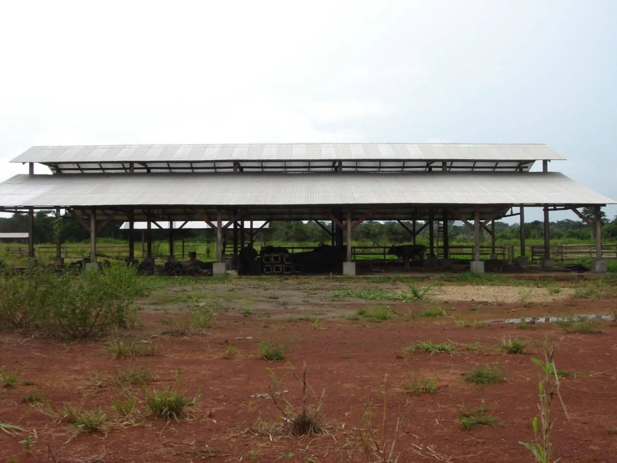 Foto 5 de En Venta Finca/Granja/ Rancho/Estación casi 100 HA (Norte Beni)