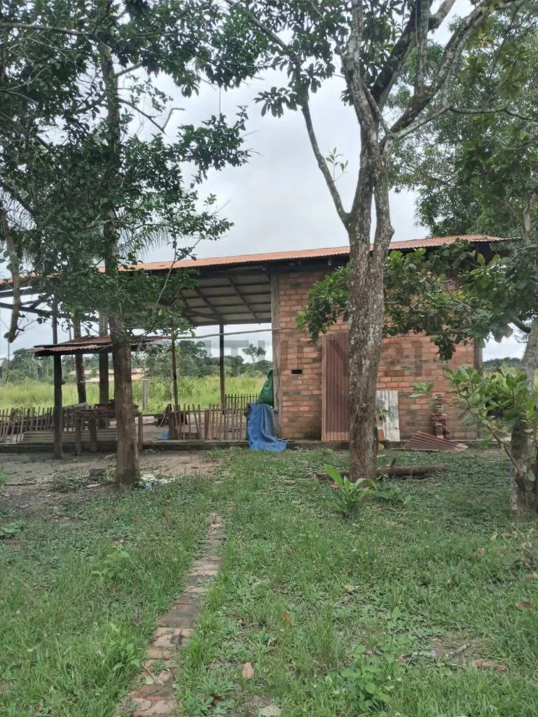 Foto 6 de En Venta Finca/Granja/ Rancho/Estación casi 100 HA (Norte Beni)