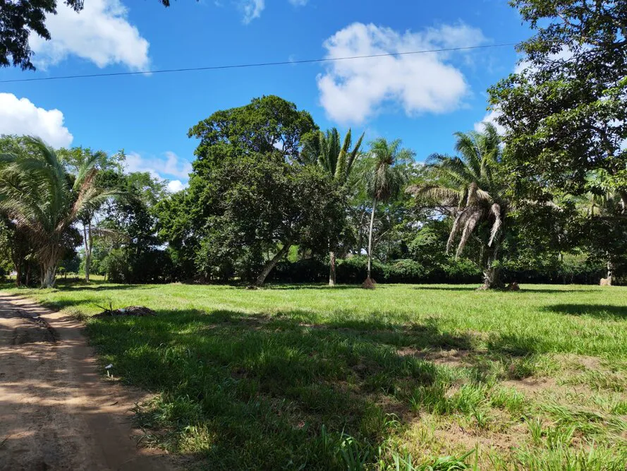 Foto 4 de En Santa Cruz - Montero Terreno Amplio en Venta Zona Norte - Montero - Urbanizacion La Arboleda