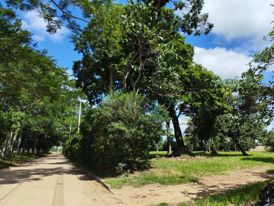 Foto 1 de En Santa Cruz - Montero Terreno Amplio en Venta Zona Norte - Montero - Urbanizacion La Arboleda