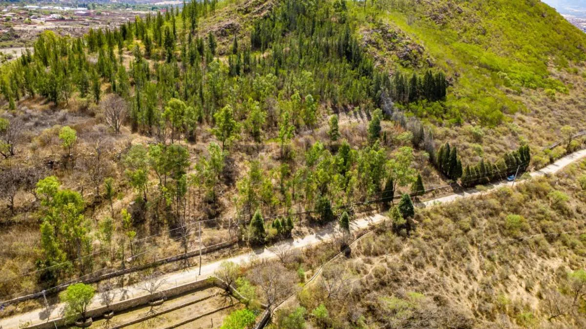 Foto 5 de Venta Propieda Rural Zona Obrajes