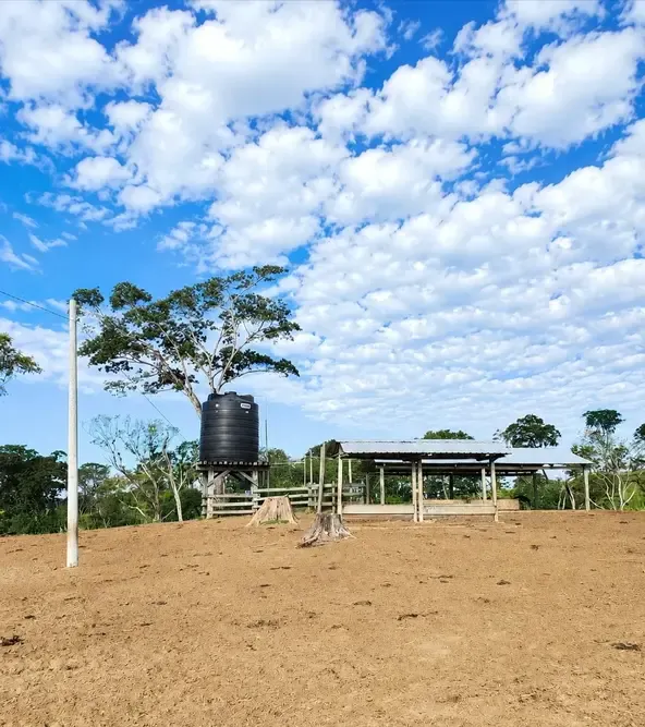 Foto 5 de Propiedad Ganadera en Venta - Buena Vista - Sobre Carretera