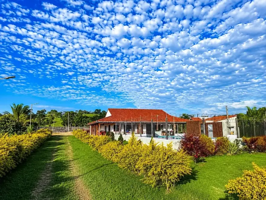 Foto 1 de Propiedad Ganadera en Venta - Buena Vista - Sobre Carretera