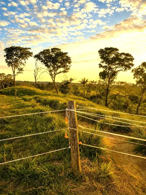 Foto 17 de Propiedad Ganadera en Venta - Buena Vista - Sobre Carretera