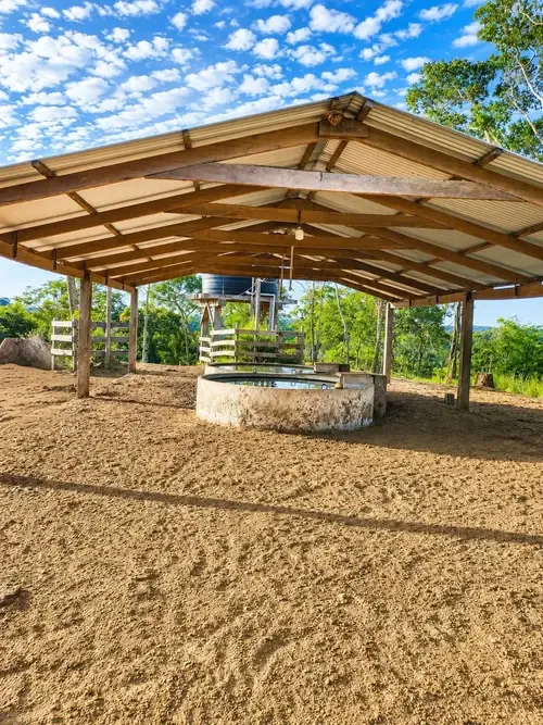 Foto 4 de Propiedad Ganadera en Venta - Buena Vista - Sobre Carretera