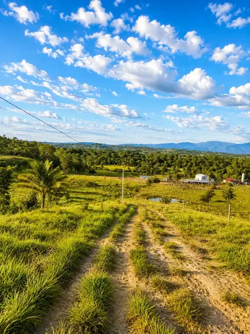 Foto 10 de Propiedad Ganadera en Venta - Buena Vista - Sobre Carretera