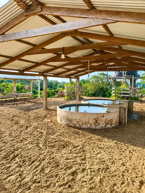 Foto 6 de Propiedad Ganadera en Venta - Buena Vista - Sobre Carretera