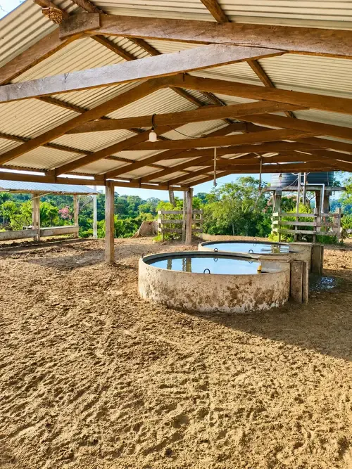 Foto 6 de Propiedad Ganadera en Venta - Buena Vista - Sobre Carretera