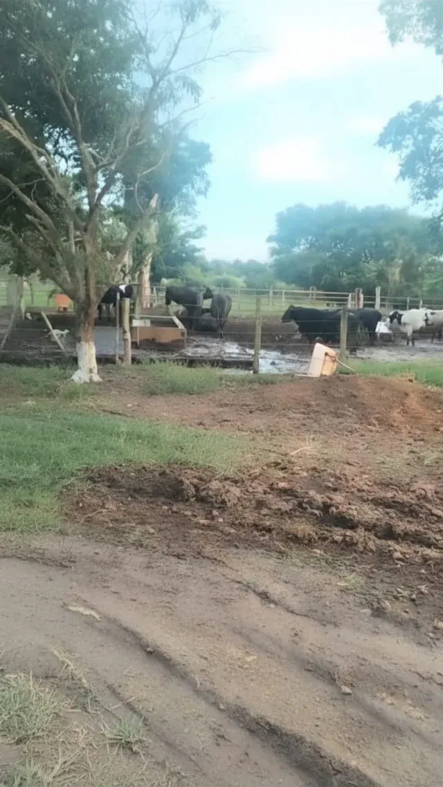Foto 6 de Venta de propiedad de 30 ha en Portachuelo sobre carretera