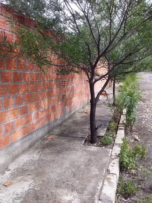 Foto 3 de erreno en venta de 1.025,73 m² en Mecapaca, ideal para inversión y desarrollo