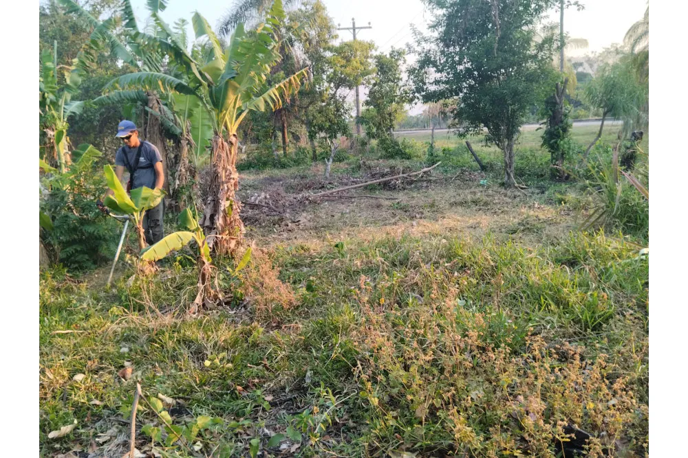 Foto 9 de 🌟 3.900 M² de Terreno Productivos y Frutales
