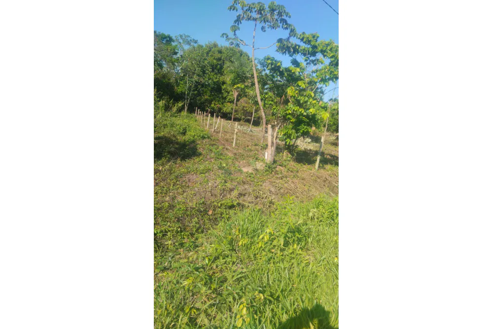 Foto 15 de 🌟 3.900 M² de Terreno Productivos y Frutales