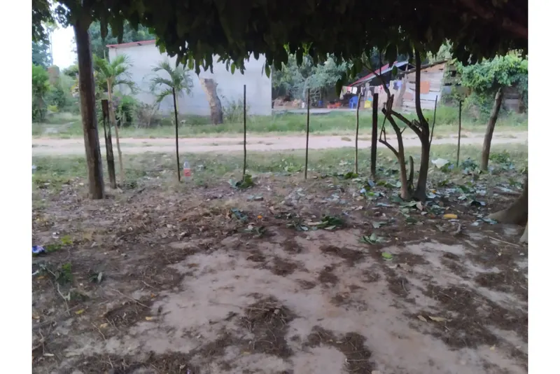Foto 8 de 🌟 3.900 M² de Terreno Productivos y Frutales