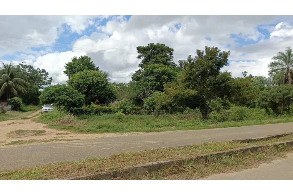 Foto 18 de 🌟 3.900 M² de Terreno Productivos y Frutales