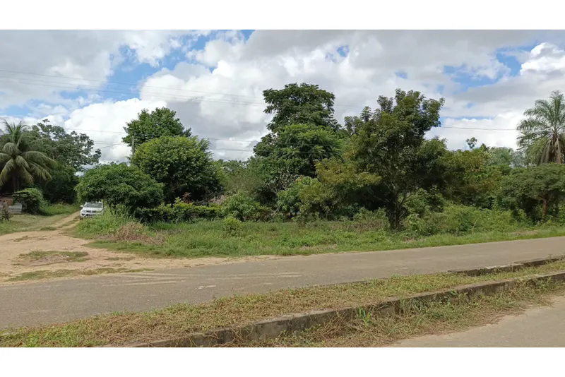 Foto 18 de 🌟 3.900 M² de Terreno Productivos y Frutales